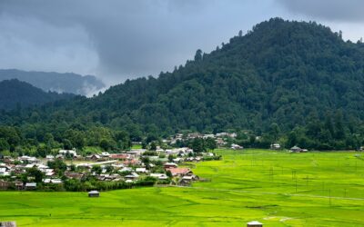 Ziro Valley