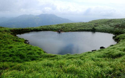 Wayanad part-2